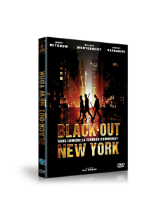 Black-out à New York