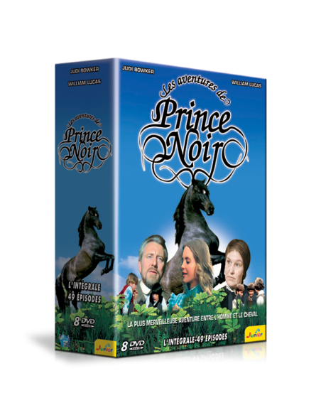 Les aventures de prince noir