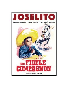 Son fidèle compagnon 2