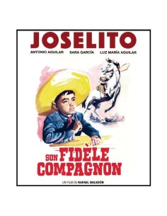 Son fidèle compagnon - Blu-ray 2