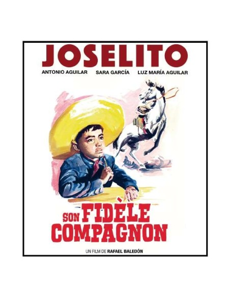 Son fidèle compagnon - Blu-ray