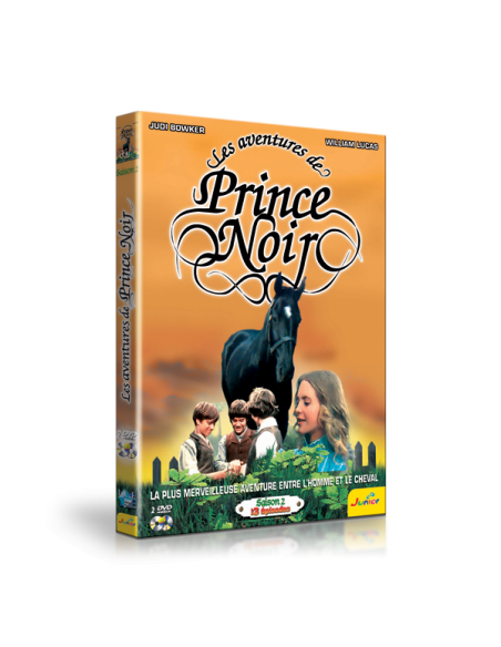 Les aventures de prince noir saison 2